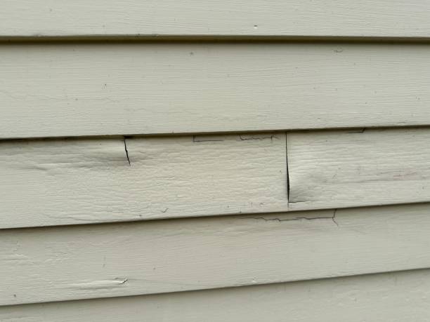 Best Siding Removal and Disposal  in Stirling, NJ